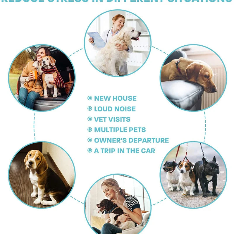 Benepaw Effective Calming Collar for Dogs Anti-Anxiety Relieve Stress Nontoxic Water-Resistant Adjustable Pet Puppy Collars