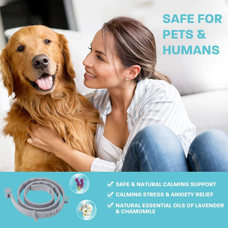 Benepaw Effective Calming Collar for Dogs Anti-Anxiety Relieve Stress Nontoxic Water-Resistant Adjustable Pet Puppy Collars