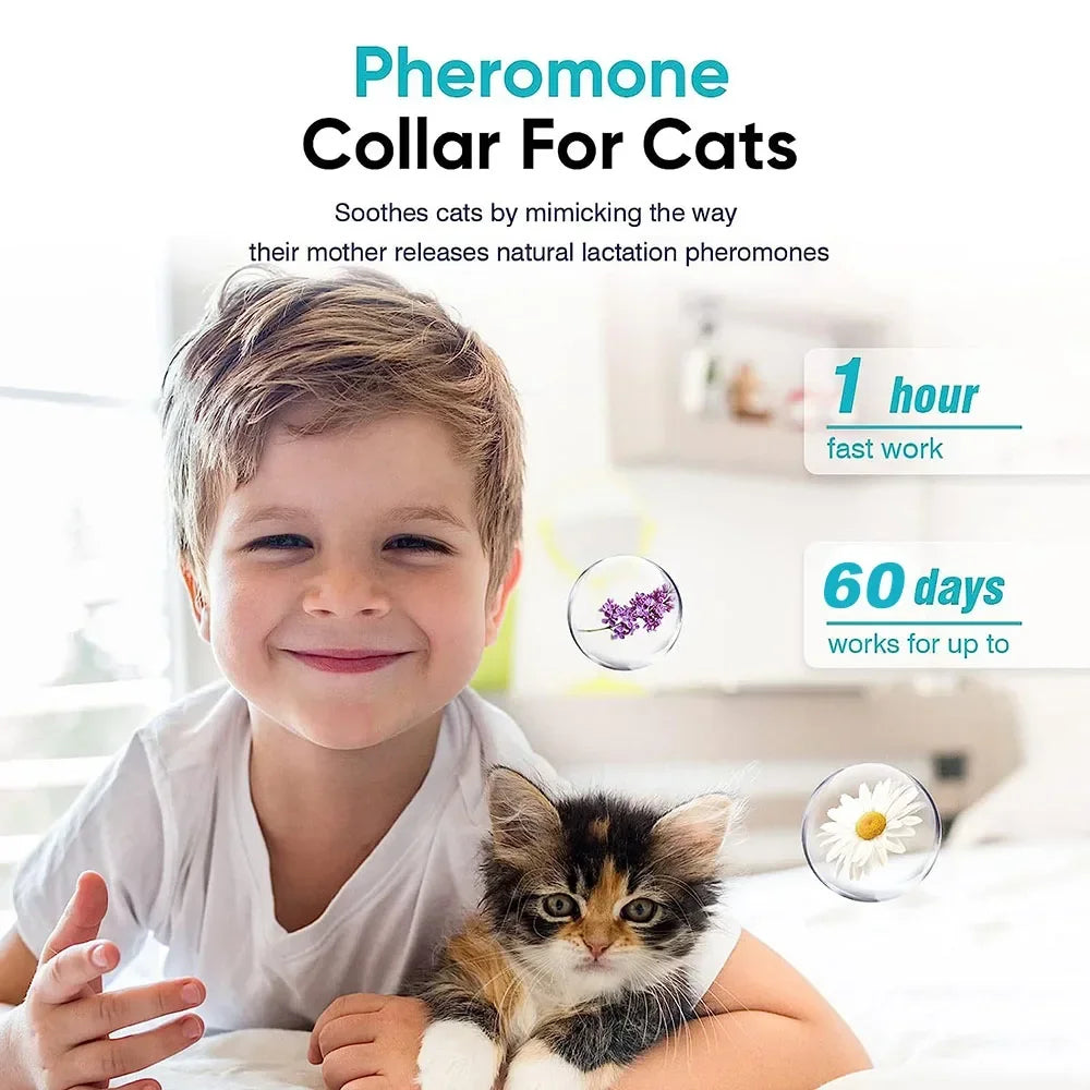 Pet Calming Collar for Cats Effective Relief Reduce Anxiety Stress Pheromones Relaxing Breakaway Collar for Kittens Puppies Dogs